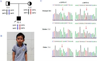 Preimplantation genetic testing for Cockayne syndrome with a novel ERCC6 variant in a Chinese family